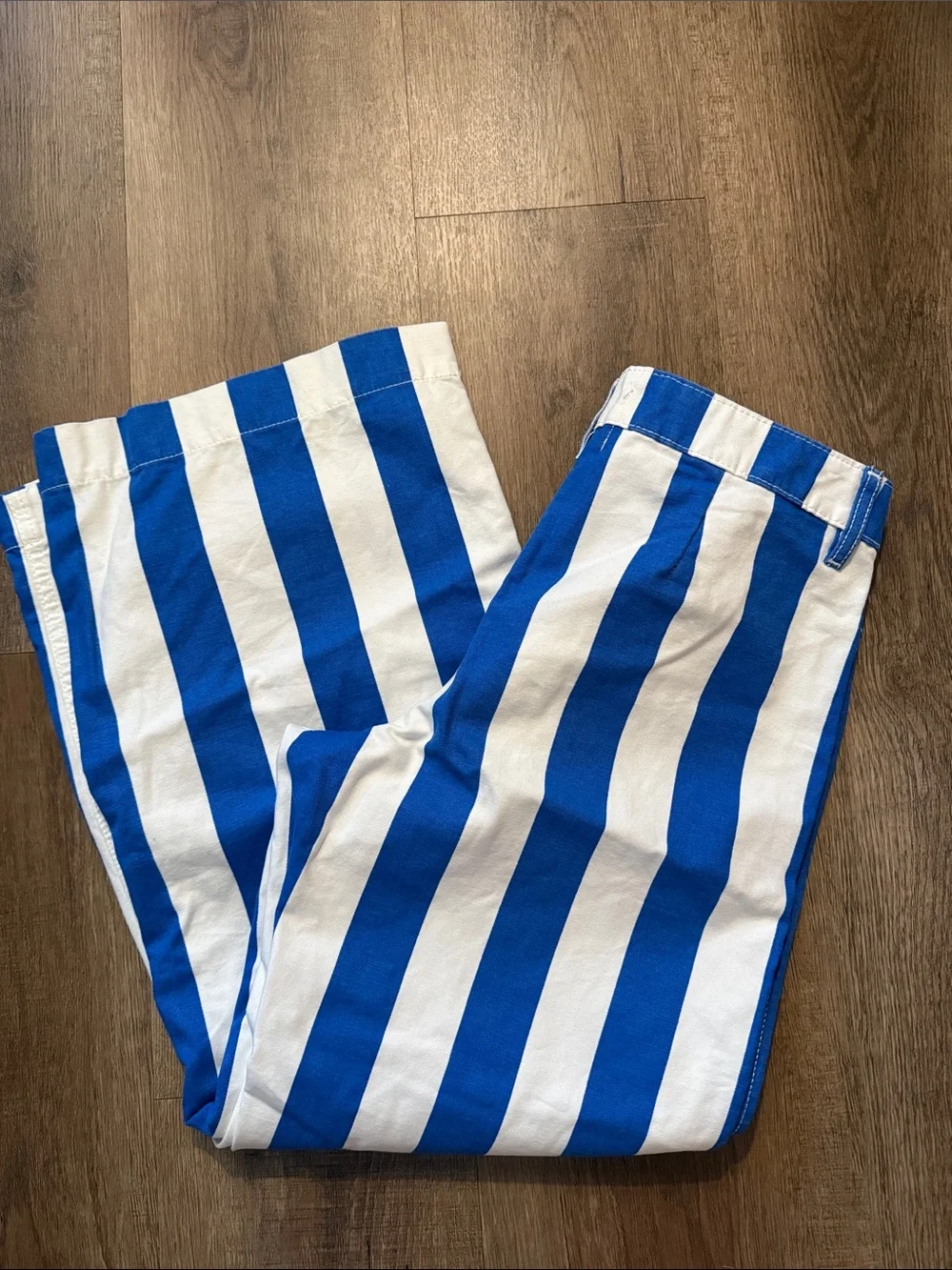 Urban Outfitters BDG Eva Canvas Wide Leg Crop Pant Blue Striped Pants Size 27 - Picture 7 of 15